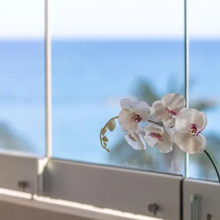 Hallmark By Trulycyprus ليماسول